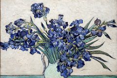 16 Irises - Vincent van Gogh 1890 - New York Metropolitan Museum of Art